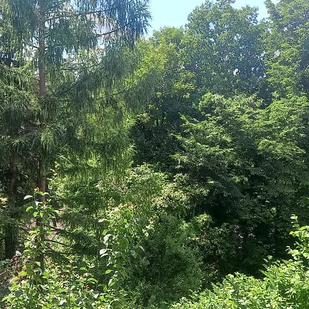 Goldsteig 3 - Doppelzimmer Homestay *